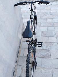bicicletta ragazzo