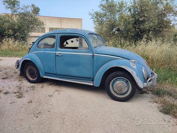 Volkswagen Maggiolino 