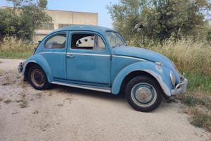 Volkswagen Maggiolino 