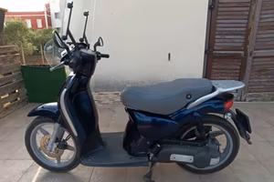 scarabeo 50