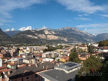PRIMA COLLINA - SPALLIERA