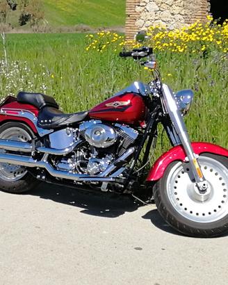 HARLEY-DAVIDSON SOFTAIL FAT BOY 