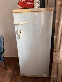 Congelatore verticale San Giorgio "Crystal"