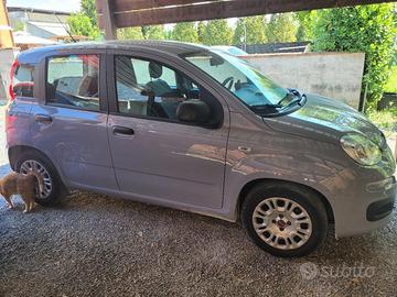 Panda terza serie  03/2022