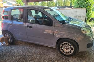 Panda terza serie  03/2022