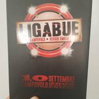 DVD Ligabue campo volo