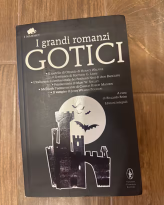 Libro - raccolta di importanti romanzi gotici