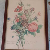 2 stampe vintage con cornice a tema botanico