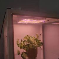 Lampada LED Per Crescita/Coltivazione Piante Luce
