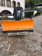 Lama neve e spargisale