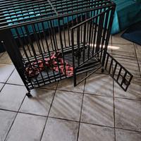 Kennel per cane
