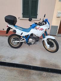honda dominator 