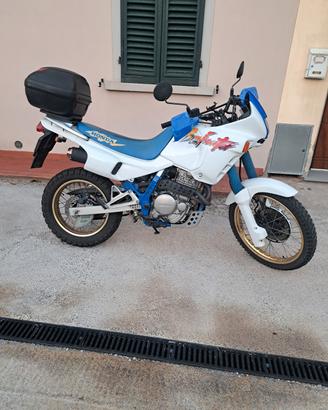 honda dominator 