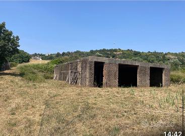 Rustico commerciale con terreno