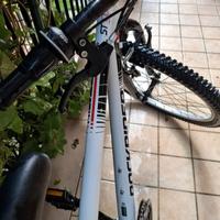 bici rock rider n.24