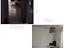 Immagine 10