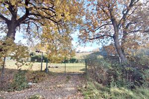 Terreno edificabile mq 1800 Bosco PT/134