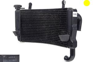 Radiatore acqua DUCATI 749