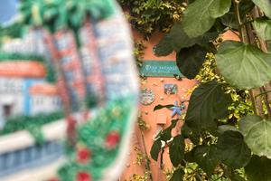 Casa Vacanze da Vicenta: la scelta giusta per te