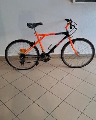 Bicicletta vintage