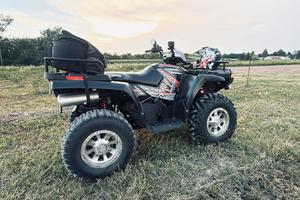 Quad polaris 800
