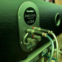 Paradigm Prestige 55C - Canale Centrale High-End