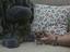 Immagine 4