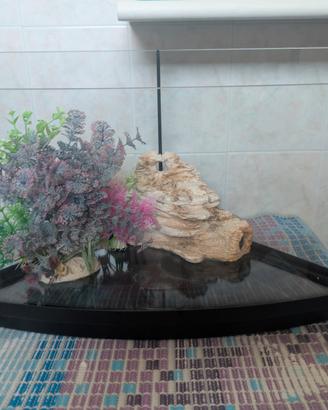 Acquario per tartarughe 