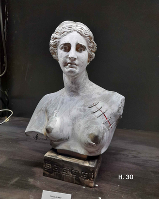 VENUS DE MILO