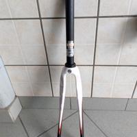 Forcella in Carbonio bici da corsa
