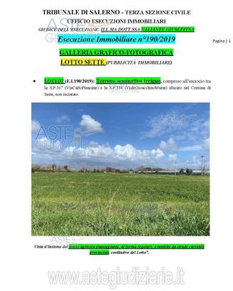 Terreno Agricolo Altavilla Silentina [A4349740]