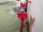 Immagine 3