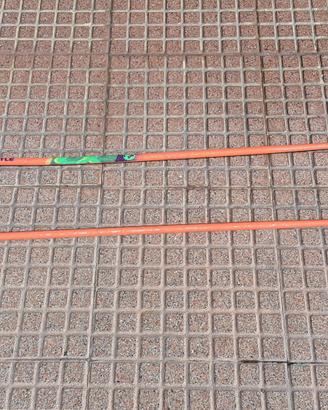 Coppia bacchette per sciare o per camminare