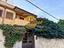 Immagine 12