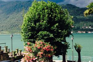 Ampio appartamento vista lago giardino