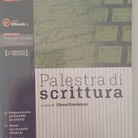 libro palestra di scrittura