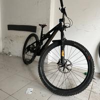 Specialized Enduro Pro Coil
