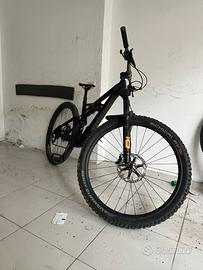 Specialized Enduro Pro Coil