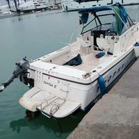 Barca a motoreTrophy Bayliner MODELLO 2352