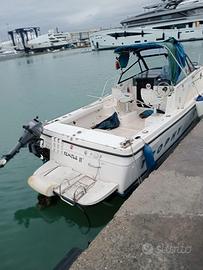 Barca a motoreTrophy Bayliner MODELLO 2352