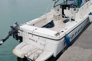 Barca a motoreTrophy Bayliner MODELLO 2352