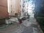 Immagine 13