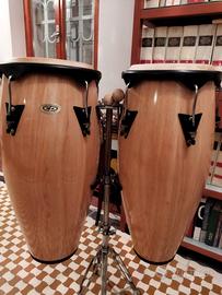 congas