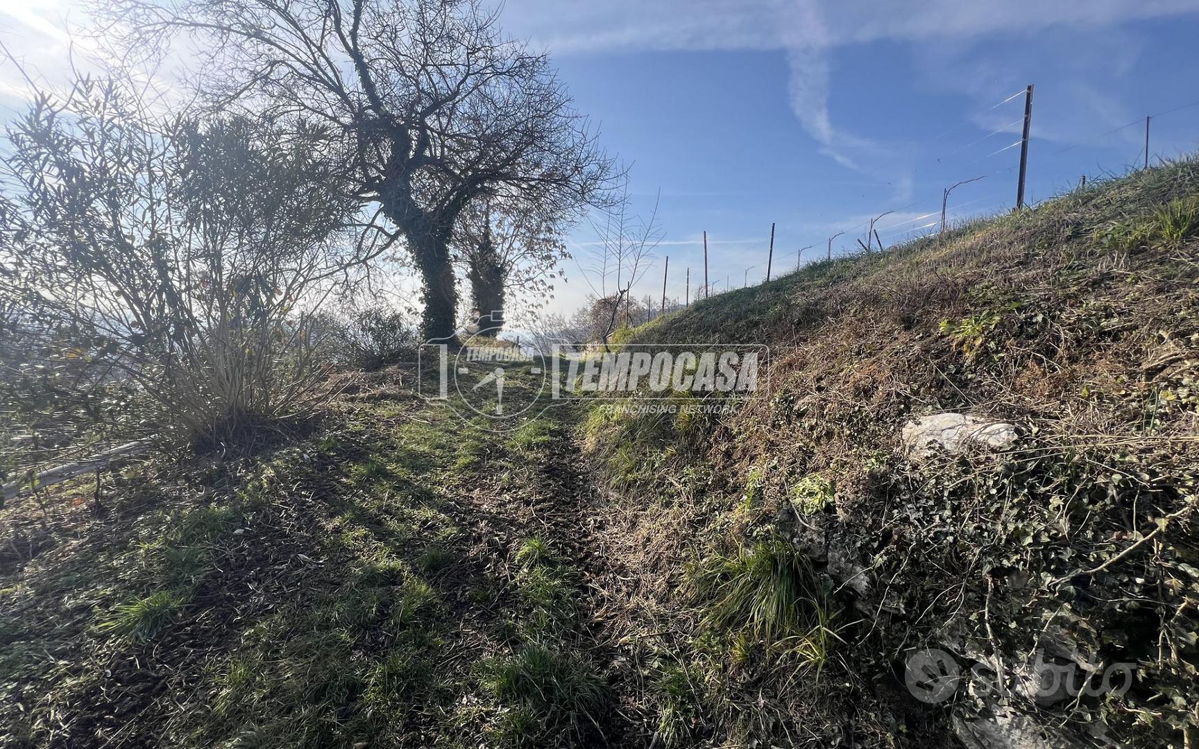 TERRENO AGRICOLO CON VISTA PANORAMICA - Altro