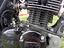 Immagine 5
