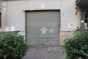BOX A CASORIA
