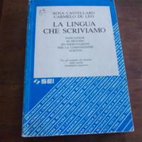 La lingua che scriviamo indicazioni esercitazioni