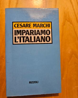 libro Impariamo l’italiano