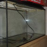 Vasca acquario 80lt in buone condizioni