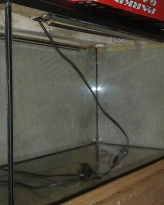 Vasca acquario 80lt in buone condizioni